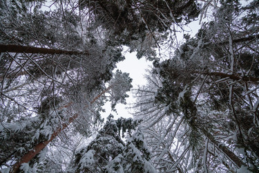 Similar image 21093577