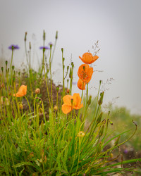 Similar image 21084954