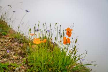 Similar image 21084956