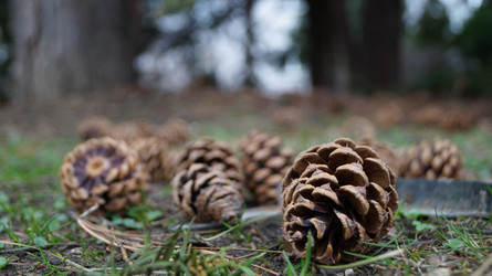 Similar image 21080816