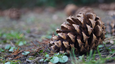 Similar image 21080817