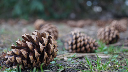 Similar image 21080818