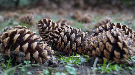 Similar image 21080819