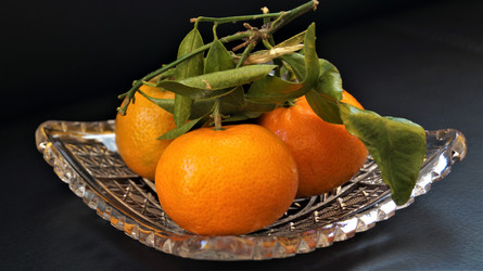 Similar image 21080820