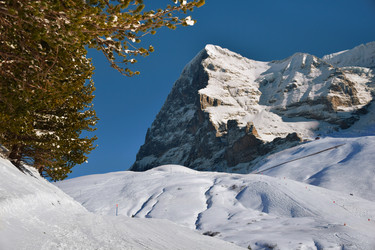 Similar image 21085594