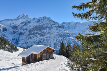 Similar image 21085597