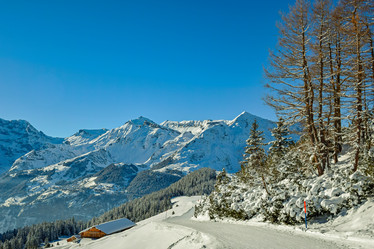 Similar image 21085600