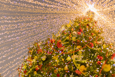 Similar image 21085621