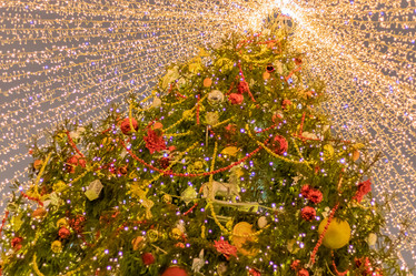 Similar image 21085622