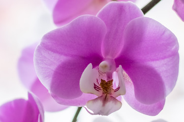 Similar image 21085630