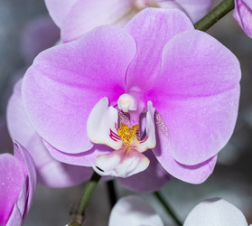 Similar image 21085631