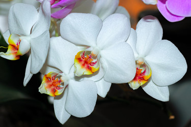 Similar image 21085632