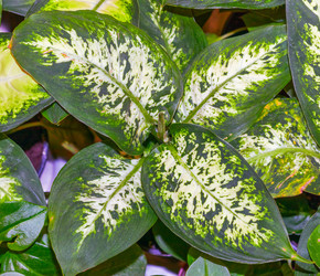 Similar image 21085633