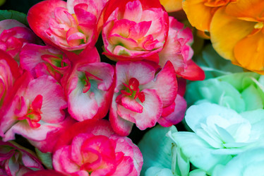 Similar image 21085634