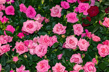 Similar image 21085635