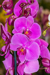 Similar image 21085636