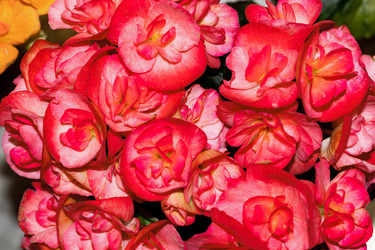 Similar image 21085637