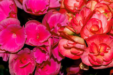 Similar image 21085640