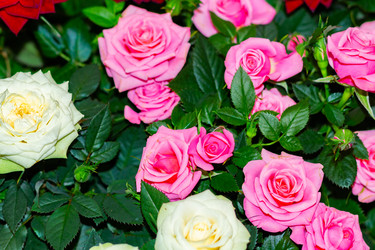 Similar image 21085641