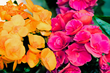 Similar image 21085642