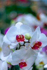 Similar image 21085647