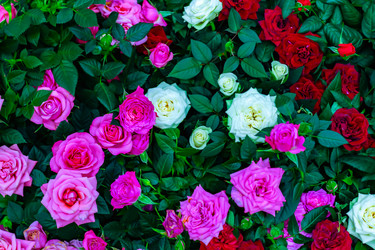 Similar image 21085649