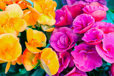 Similar image 21085651