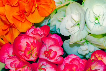 Similar image 21085652