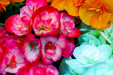 Similar image 21085653