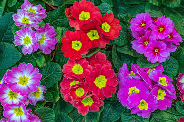 Similar image 21085663