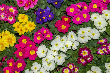 Similar image 21085664