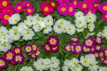 Similar image 21085667