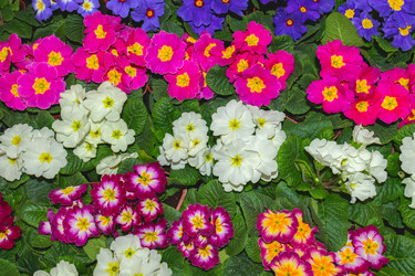 Similar image 21085668