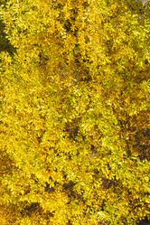 Similar image 21094266