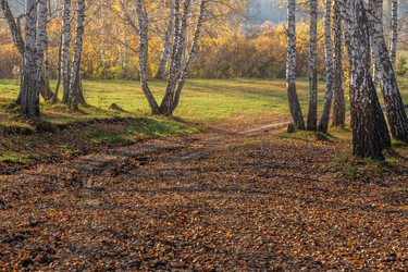 Similar image 21097403