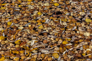 Similar image 21097405