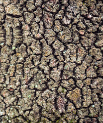 Similar image 21085691