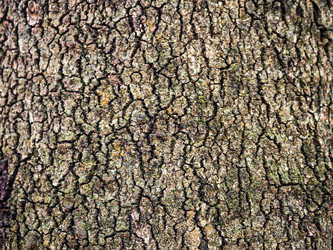 Similar image 21085693