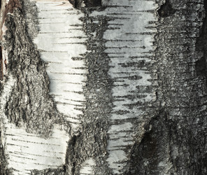 Similar image 21085694