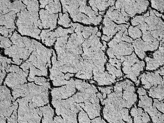 Similar image 21085700