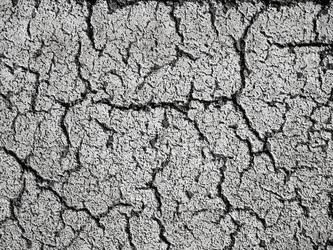 Similar image 21085701