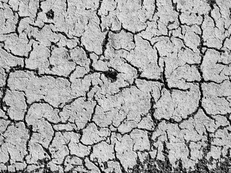 Similar image 21087697