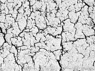 Similar image 21087698