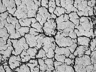 Similar image 21087699