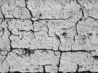 Similar image 21087700