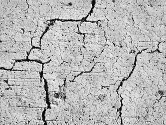 Similar image 21087703