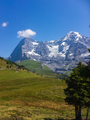 Similar image 21105330