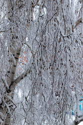 Similar image 21105333