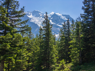 Similar image 21085720