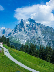 Similar image 21085721